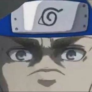 Meet your Posher, Bradley